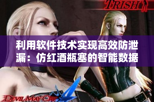利用软件技术实现高效防泄漏：仿红酒瓶塞的智能数据封口工具