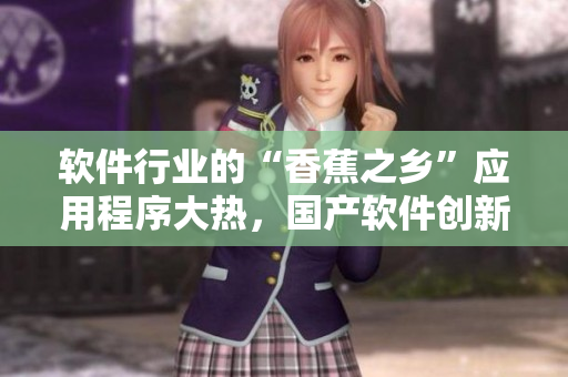 软件行业的“香蕉之乡”应用程序大热，国产软件创新正当时