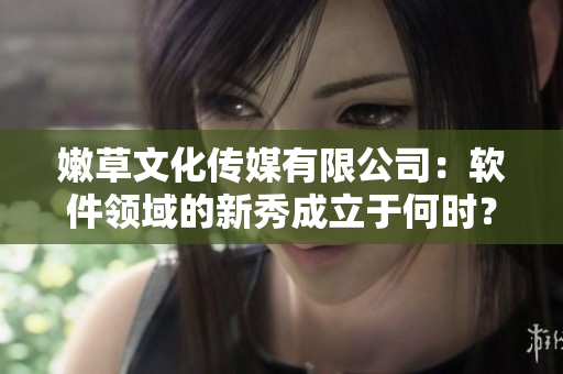 嫩草文化传媒有限公司：软件领域的新秀成立于何时？