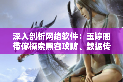 深入剖析网络软件：玉婷阁带你探索黑客攻防、数据传输与安全加密
