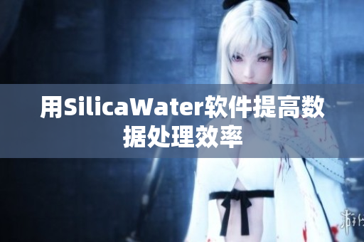 用SilicaWater软件提高数据处理效率