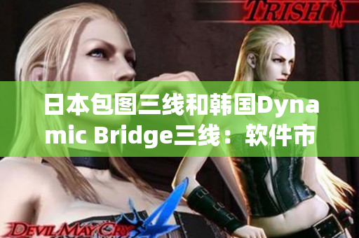 日本包图三线和韩国Dynamic Bridge三线：软件市场品牌对比
