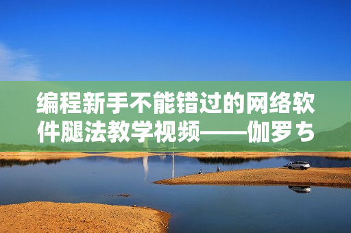 编程新手不能错过的网络软件腿法教学视频——伽罗ちゃん带你掌握关键技能