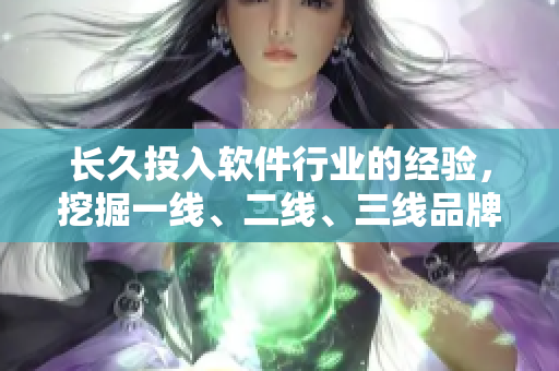 长久投入软件行业的经验，挖掘一线、二线、三线品牌，发掘软件行业的新视角