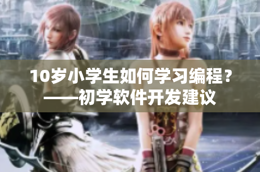 10岁小学生如何学习编程？——初学软件开发建议