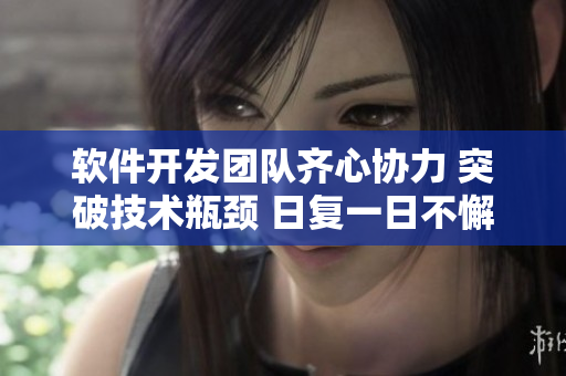 软件开发团队齐心协力 突破技术瓶颈 日复一日不懈努力