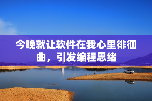 今晚就让软件在我心里徘徊曲，引发编程思绪