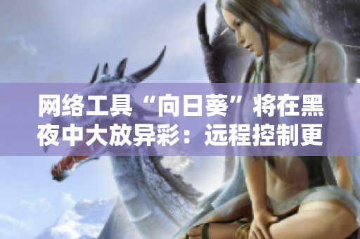 网络工具“向日葵”将在黑夜中大放异彩：远程控制更加智能高效！