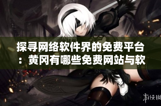 探寻网络软件界的免费平台：黄冈有哪些免费网站与软件供应商？