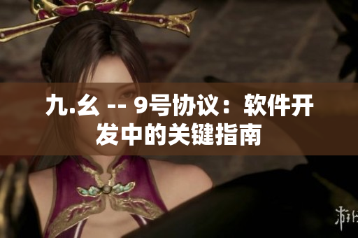 九.幺 -- 9号协议：软件开发中的关键指南