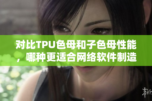 对比TPU色母和子色母性能，哪种更适合网络软件制造？