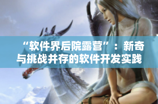 “软件界后院露营”：新奇与挑战并存的软件开发实践