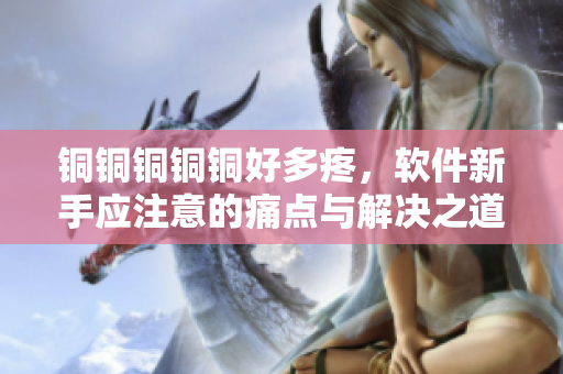 铜铜铜铜铜好多疼，软件新手应注意的痛点与解决之道