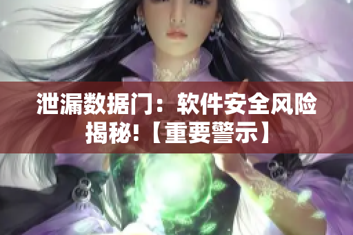 泄漏数据门：软件安全风险揭秘!【重要警示】