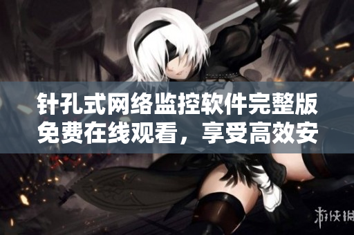针孔式网络监控软件完整版免费在线观看，享受高效安全的网络监控！