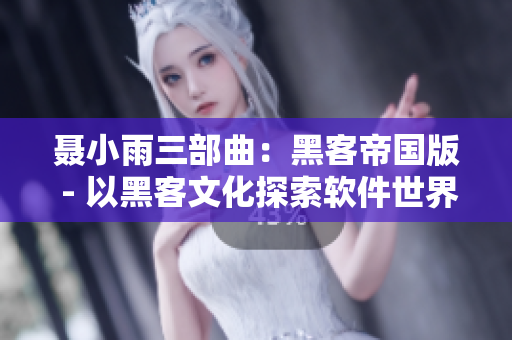 聂小雨三部曲：黑客帝国版 - 以黑客文化探索软件世界