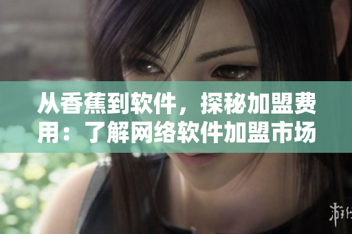 从香蕉到软件，探秘加盟费用：了解网络软件加盟市场化趋势