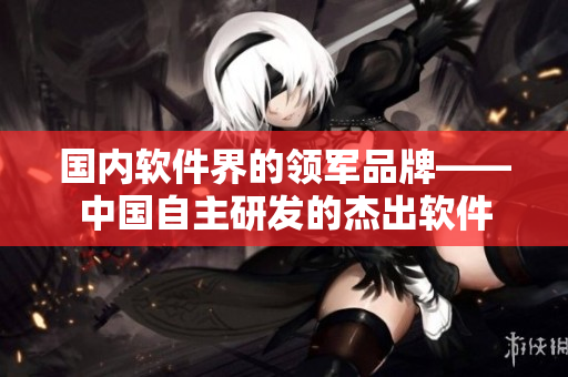 国内软件界的领军品牌——中国自主研发的杰出软件