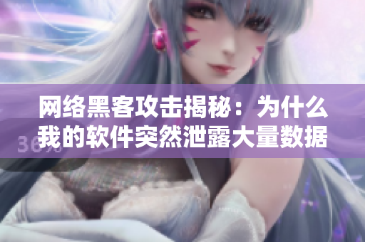 网络黑客攻击揭秘：为什么我的软件突然泄露大量数据？