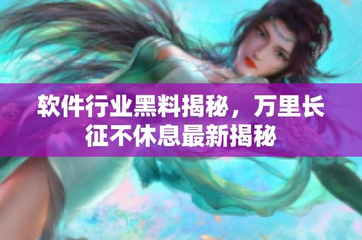 软件行业黑料揭秘，万里长征不休息最新揭秘