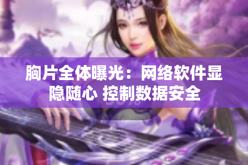 胸片全体曝光：网络软件显隐随心 控制数据安全