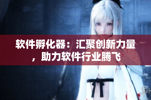 软件孵化器：汇聚创新力量，助力软件行业腾飞