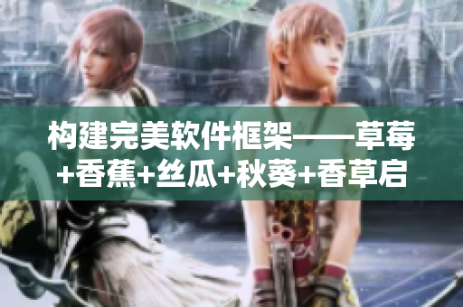 构建完美软件框架——草莓+香蕉+丝瓜+秋葵+香草启示录