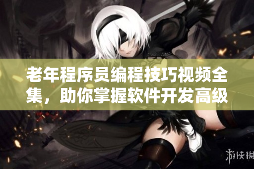 老年程序员编程技巧视频全集，助你掌握软件开发高级技能