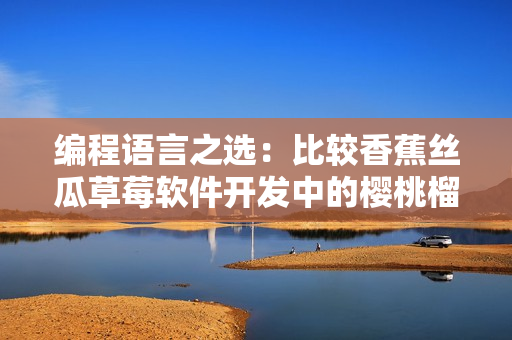编程语言之选：比较香蕉丝瓜草莓软件开发中的樱桃榴莲特性
