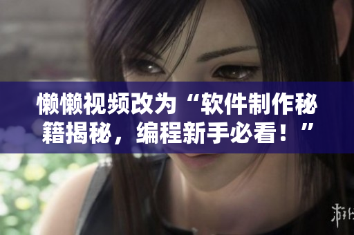 懒懒视频改为“软件制作秘籍揭秘，编程新手必看！”