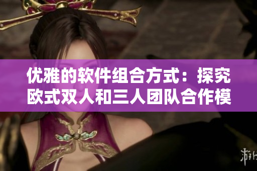 优雅的软件组合方式：探究欧式双人和三人团队合作模式