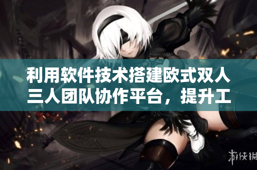 利用软件技术搭建欧式双人三人团队协作平台，提升工作效率