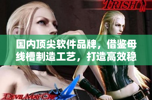 国内顶尖软件品牌，借鉴母线槽制造工艺，打造高效稳定软件？