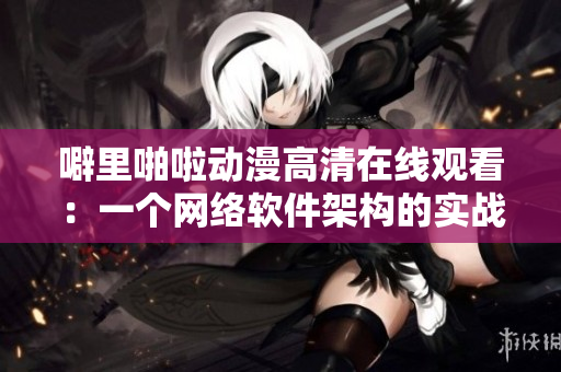 噼里啪啦动漫高清在线观看：一个网络软件架构的实战案例