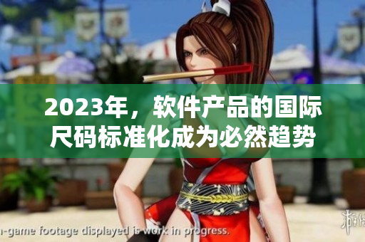 2023年，软件产品的国际尺码标准化成为必然趋势