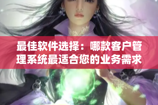 最佳软件选择：哪款客户管理系统最适合您的业务需求？