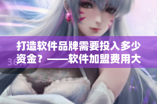 打造软件品牌需要投入多少资金？——软件加盟费用大概是多少？