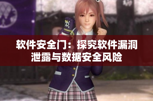 软件安全门：探究软件漏洞泄露与数据安全风险