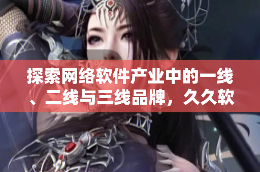 探索网络软件产业中的一线、二线与三线品牌，久久软件的崛起与挑战