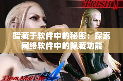 暗藏于软件中的秘密：探索网络软件中的隐藏功能