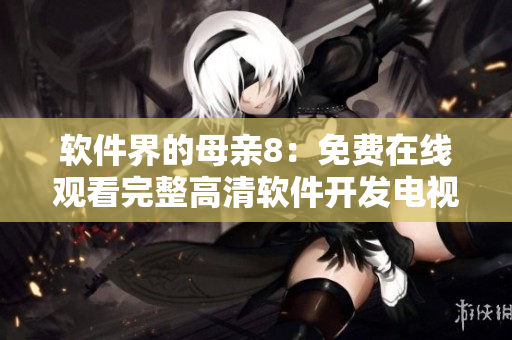 软件界的母亲8：免费在线观看完整高清软件开发电视剧
