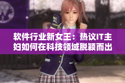 软件行业新女王：热议IT主妇如何在科技领域脱颖而出