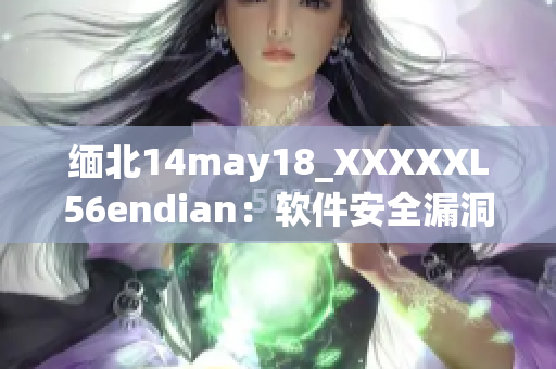 缅北14may18_XXXXXL56endian：软件安全漏洞曝光！