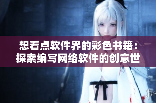 想看点软件界的彩色书籍：探索编写网络软件的创意世界