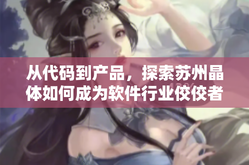 从代码到产品，探索苏州晶体如何成为软件行业佼佼者