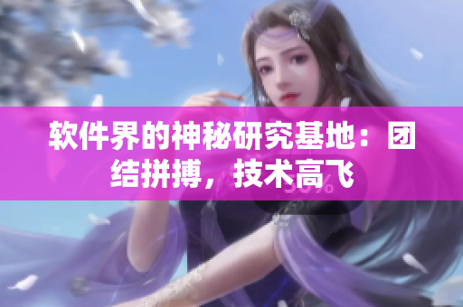 软件界的神秘研究基地：团结拼搏，技术高飞