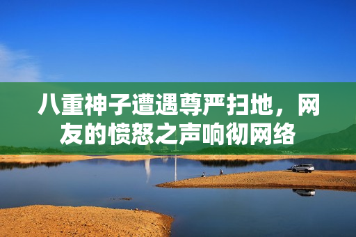 八重神子遭遇尊严扫地，网友的愤怒之声响彻网络