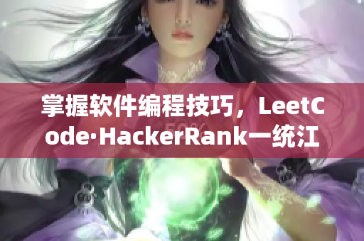 掌握软件编程技巧，LeetCode·HackerRank一统江湖