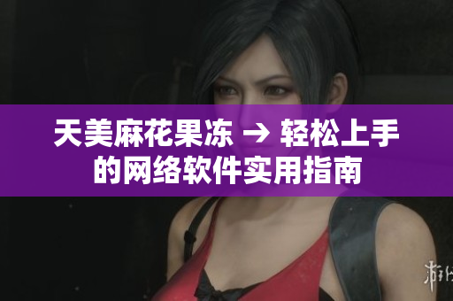 天美麻花果冻 → 轻松上手的网络软件实用指南