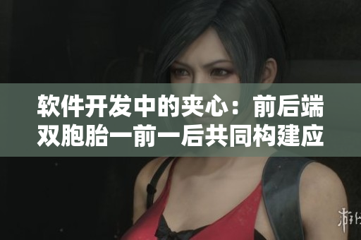 软件开发中的夹心：前后端双胞胎一前一后共同构建应用